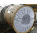 PVDF PE Coating Prepainted Aluminumcoil for Building Materials